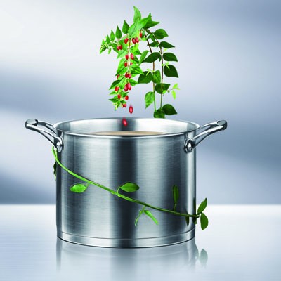 阿拉贡不锈钢系列